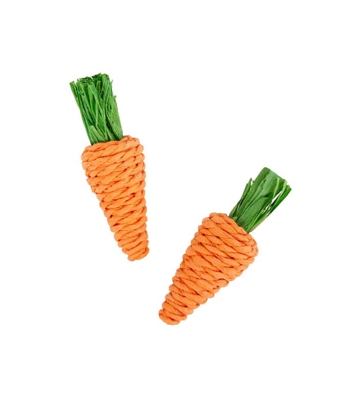 Frisco Carrot Small Pet Toy